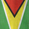 Guyana Flag Distressed Fire TV Cube Skin